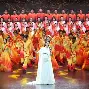  柔道夜战：瓯越灰熊队淘汰对手中原貔貅队，临门一脚致胜冲刺阶段不容有失